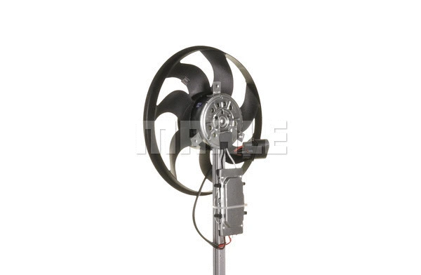 Fan, engine cooling