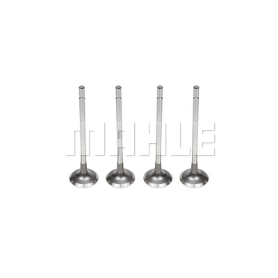 Exhaust Valve (VE0180416)