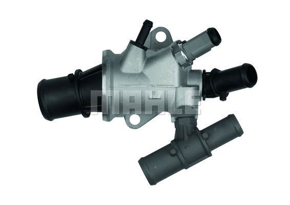Thermostat, coolant
