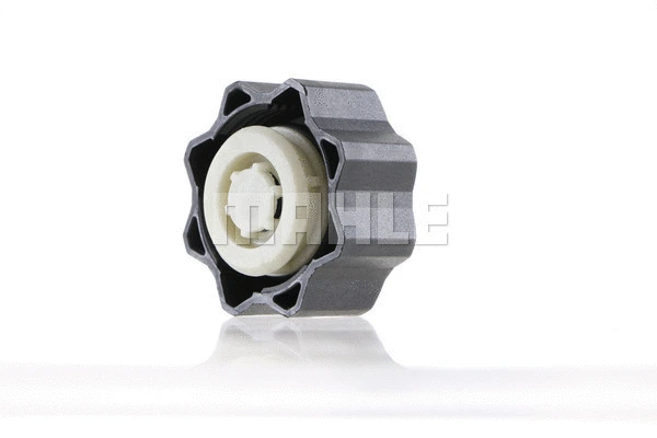 Cap, coolant tank