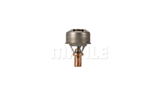 Thermostat, coolant (TX 466 75)