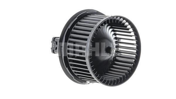 Interior Blower