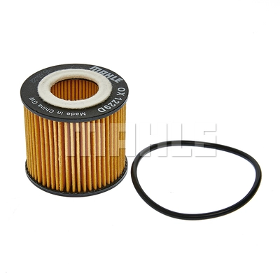 Oil Filter (OX 1229D)
