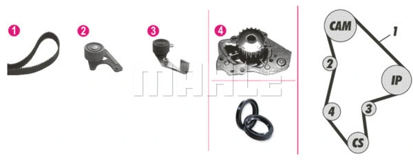 Water Pump & Timing Belt Kit (CPK 47 000P)