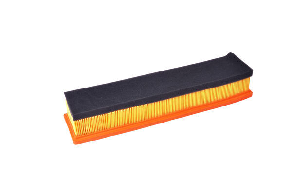 Air Filter (LX 3660)