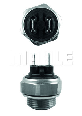 Temperature Switch, radiator fan