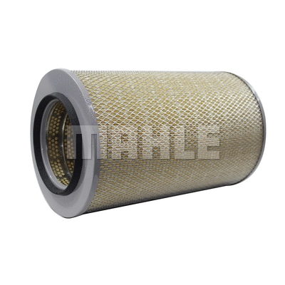 Air Filter (LX 971)