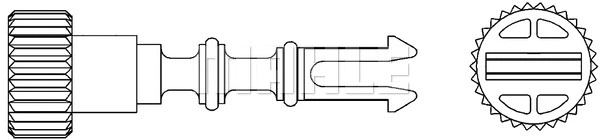 Bolt, radiator cap (CRX 52 000P)