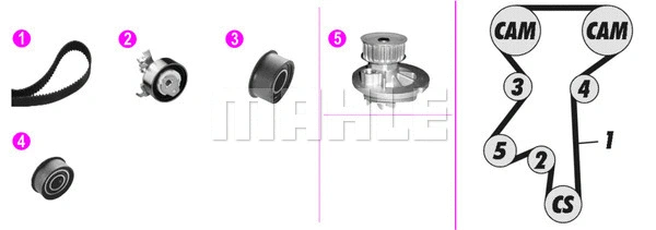 Water Pump & Timing Belt Kit (CPK 55 000P)