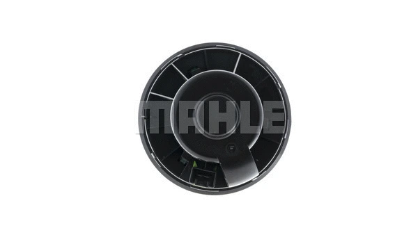 Interior Blower