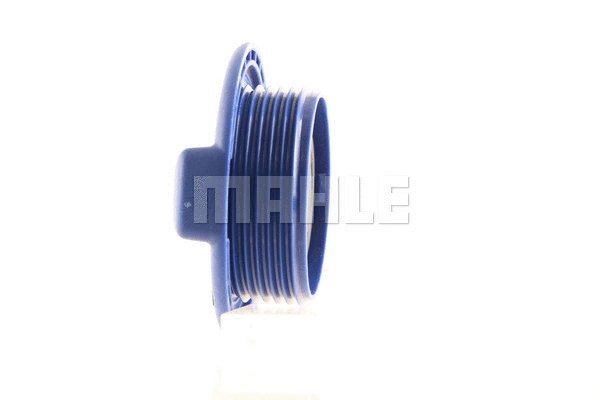 Cap, coolant tank