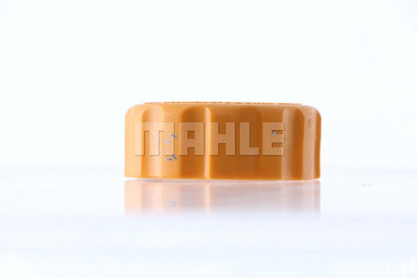 Cap, coolant tank