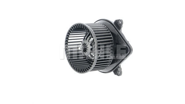 Interior Blower