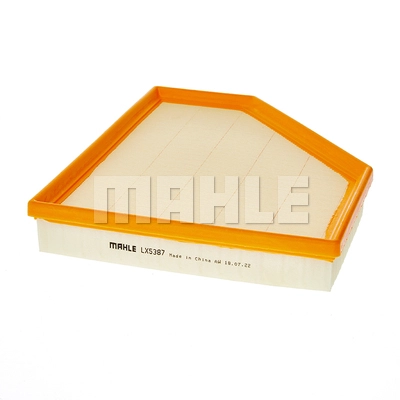 Air Filter (LX 5387)