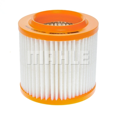 Air Filter (LX 4493)