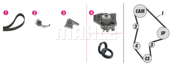 Water Pump & Timing Belt Kit (CPK 42 000P)