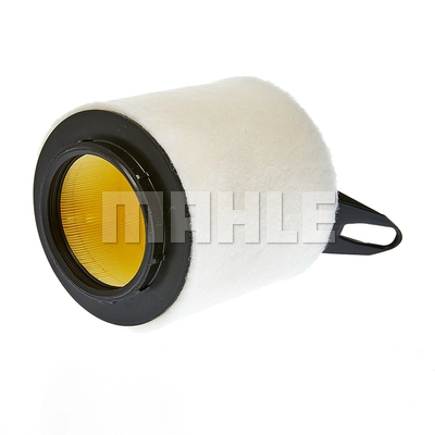 Air Filter (LX 3969)