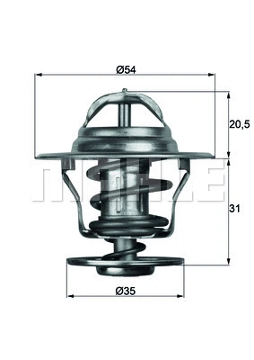 Thermostat, coolant (TX 13 87D)