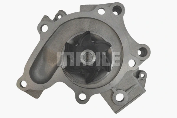 Water Pump, engine cooling (CP 81 000P)