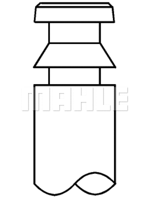 Intake Valve (061 VE 30986 000)