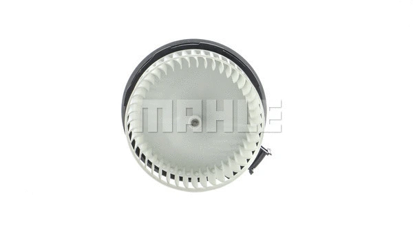 Interior Blower