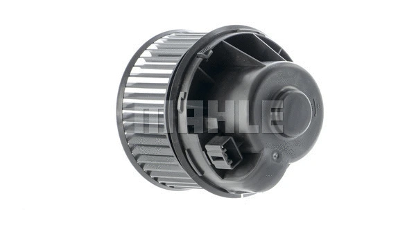 Interior Blower
