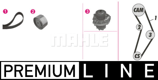 Water Pump & Timing Belt Kit