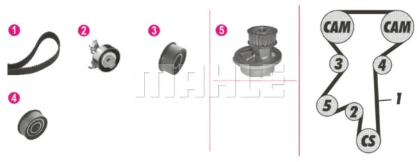 Water Pump & Timing Belt Kit (CPK 61 000P)