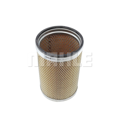 Secondary Air Filter