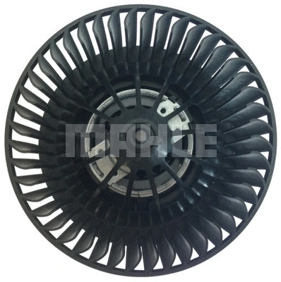 Interior Blower