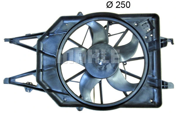 Fan, engine cooling