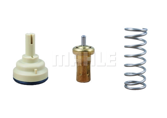 Thermostat, coolant (TX 209 80D)