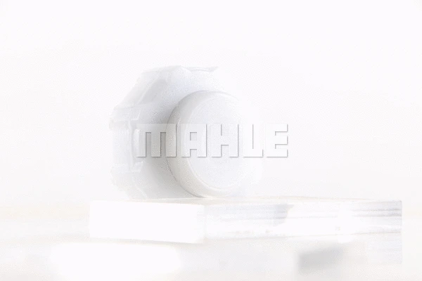 Cap, coolant tank