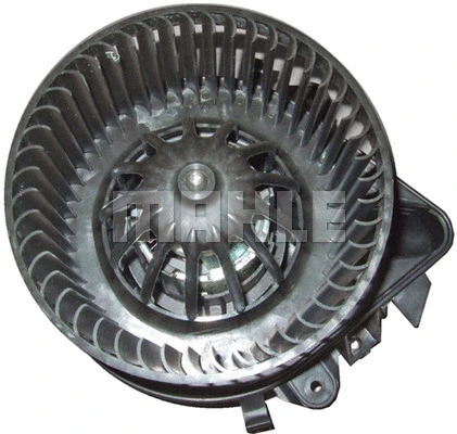 Interior Blower