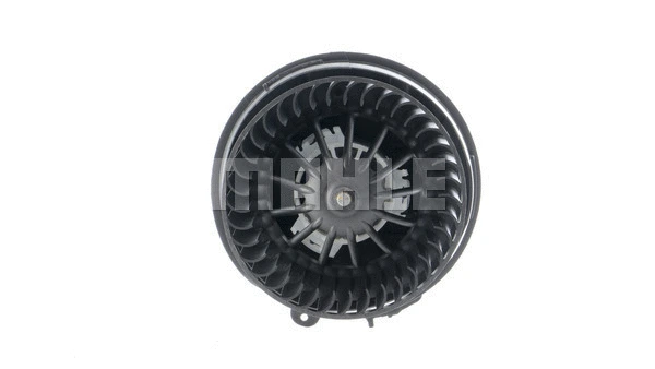 Interior Blower
