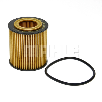 Oil Filter (OX 1343D)
