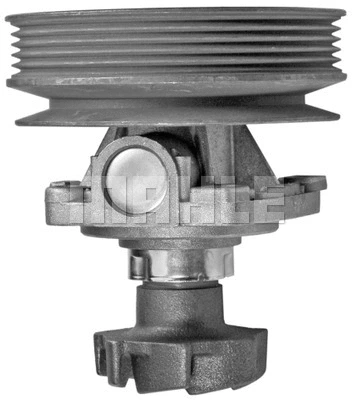 Water Pump, engine cooling (CP 251 000P)