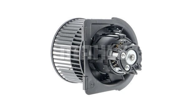 Interior Blower