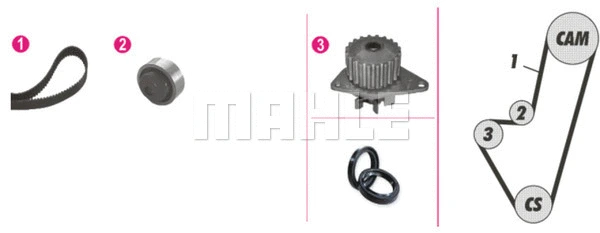 Water Pump & Timing Belt Kit (CPK 8 000P)
