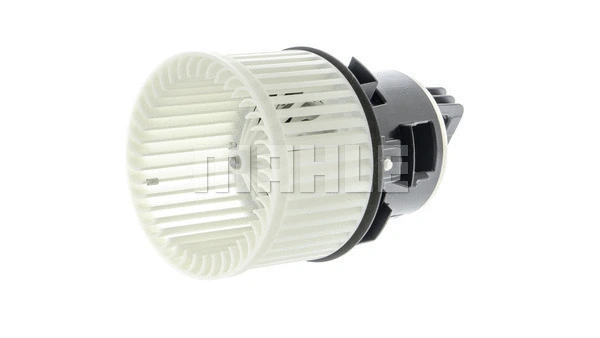 Interior Blower