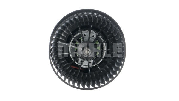 Interior Blower