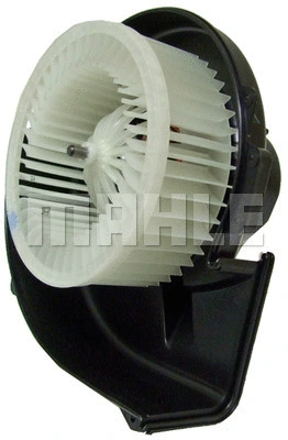 Interior Blower
