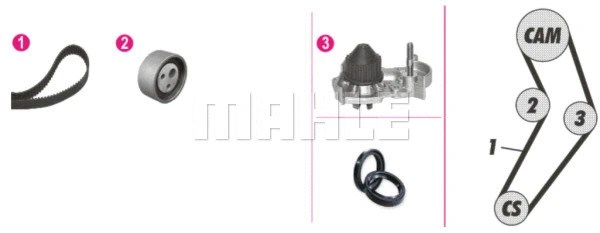 Water Pump & Timing Belt Kit (CPK 6 000P)