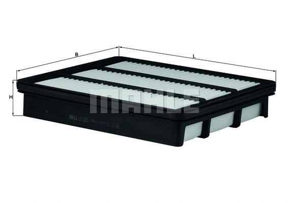 Air Filter (LX 2821)