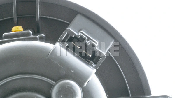 Interior Blower