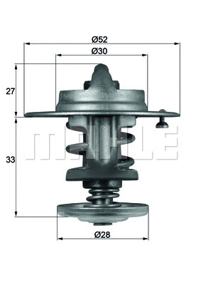 Thermostat, coolant (TX 80 83)