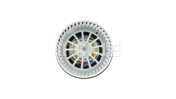 Interior Blower