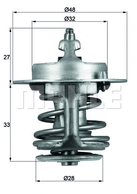 Thermostat, coolant (TX 63 83)