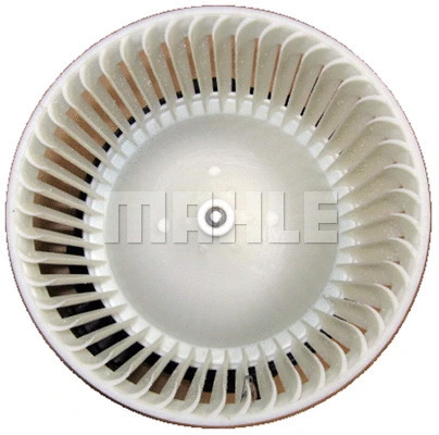 Interior Blower