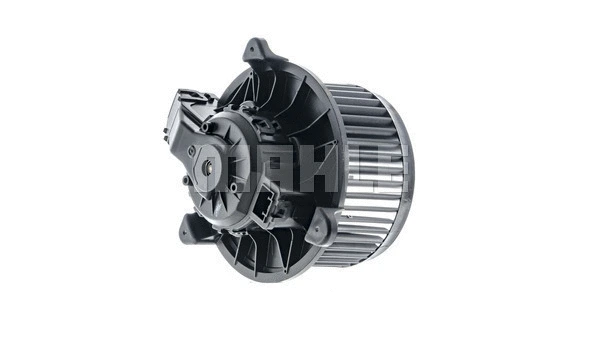 Interior Blower